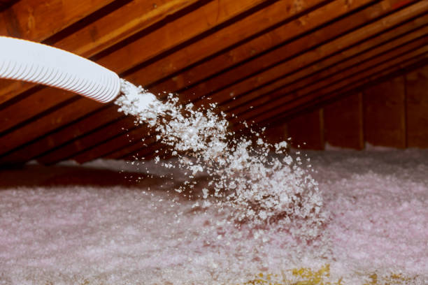Best Insulation Removal Services  in Roscommon, MI