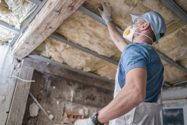 Best Crawl Space Insulation  in Roscommon, MI