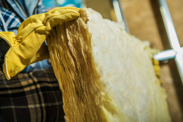 Best Wall Insulation Contractor  in Roscommon, MI